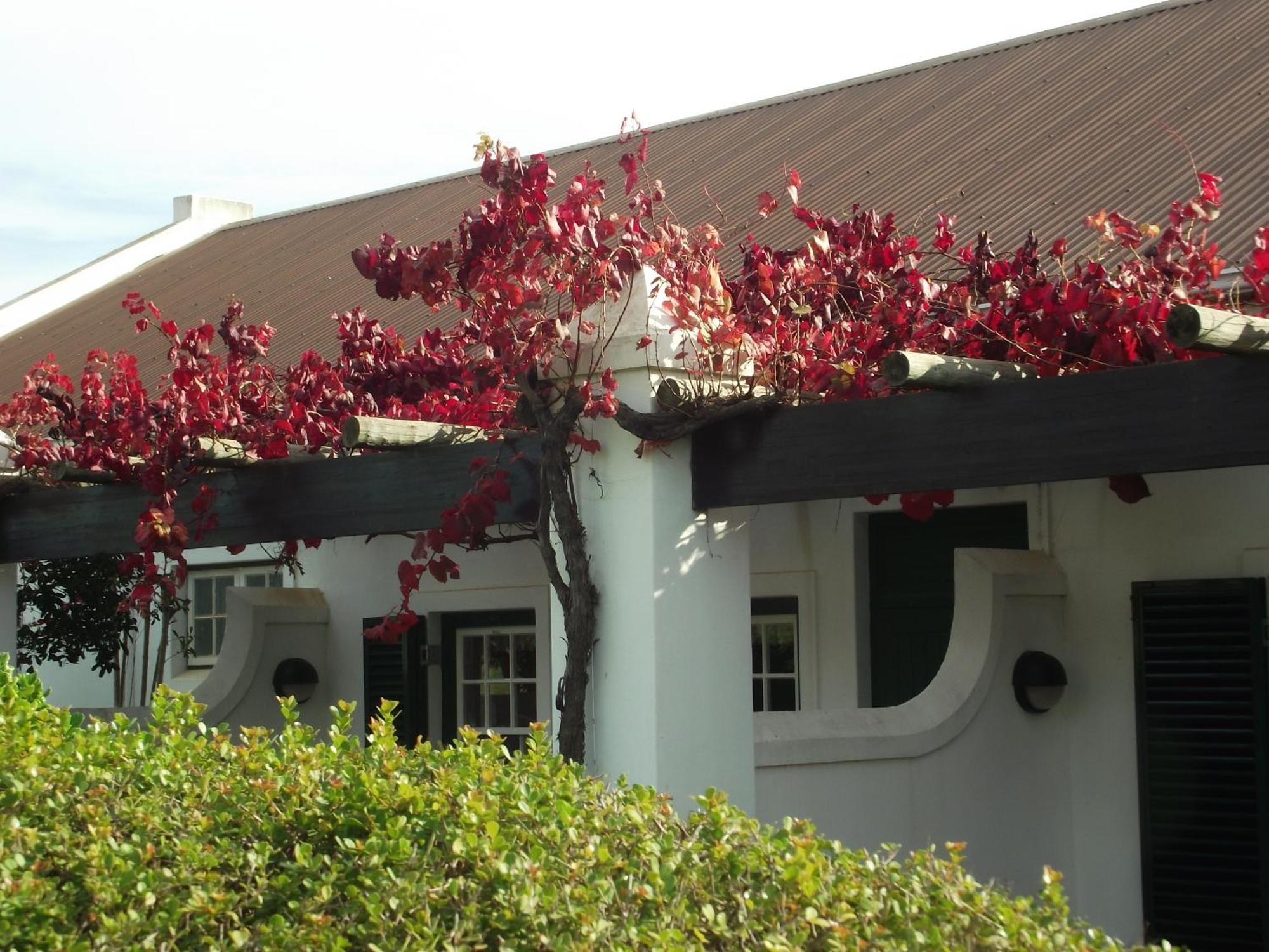 Eikendal Lodge Stellenbosch Exterior foto